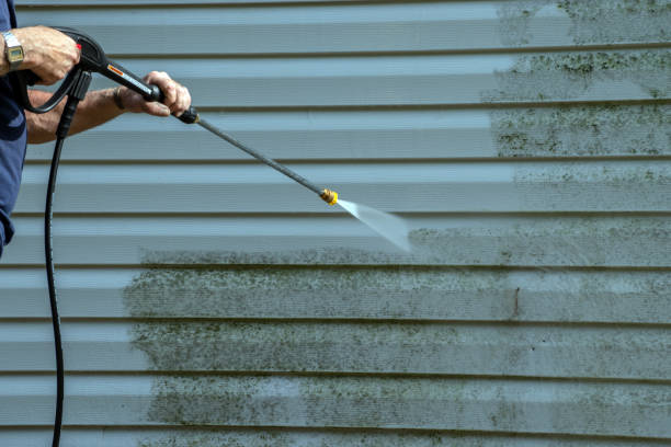 Best Pressure Washing Driveway  in Fayette, MO